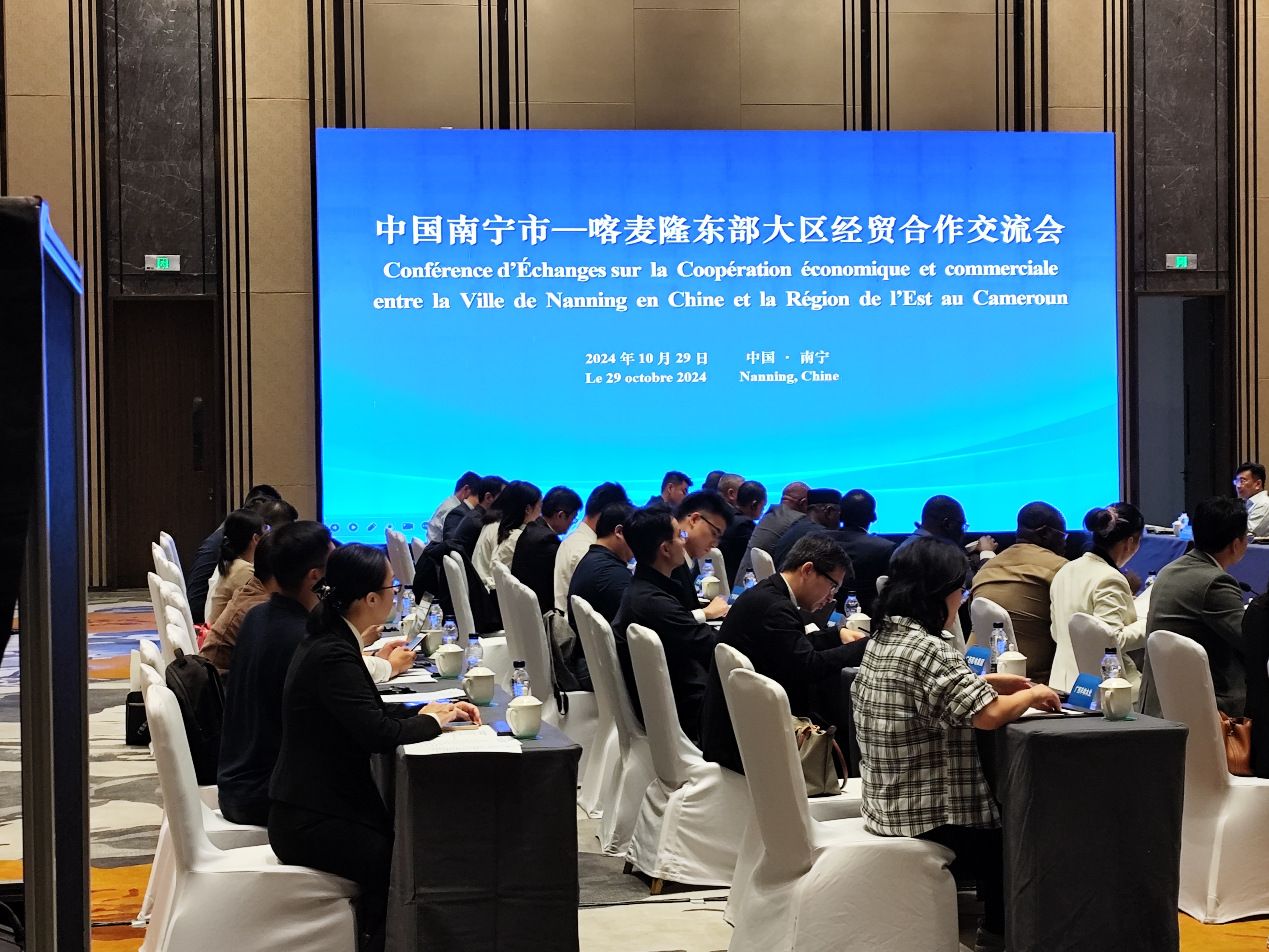 南宁-喀麦隆东部大区经贸合作交流会：跨越千里的友谊与合作